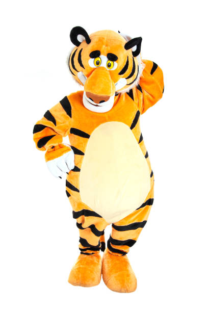 studio shot of a not so wild tiger