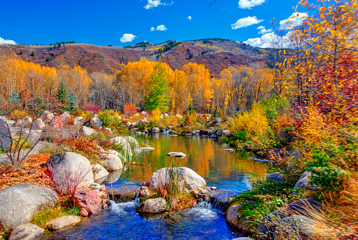 Small Stream with fall leaf color-Near Aspen,Colorado