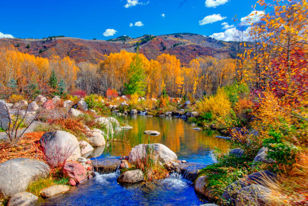 Photo of Small Stream with fall leaf color-Near Aspen,Colorado