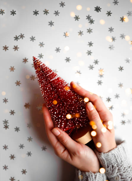 istock beautiful female hands holding a small red christmas tree on a gray background. 1358769327