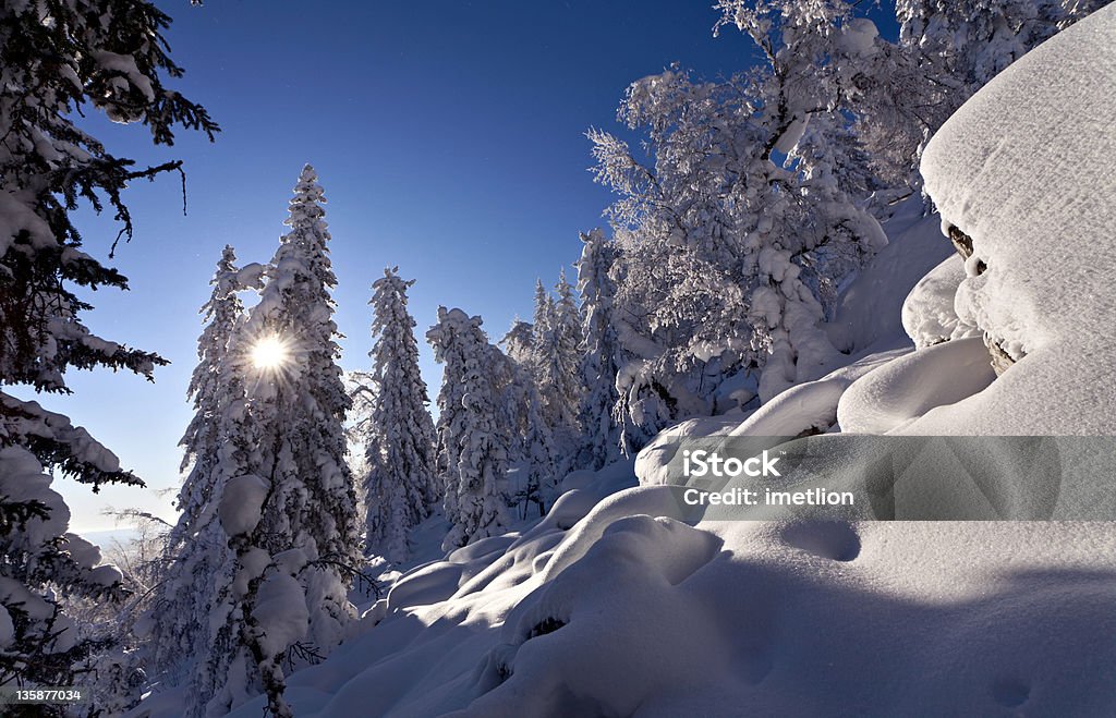 Winter lanscape mit snowcovered Bäumen und strahlenden Sonne - Lizenzfrei Anhöhe Stock-Foto