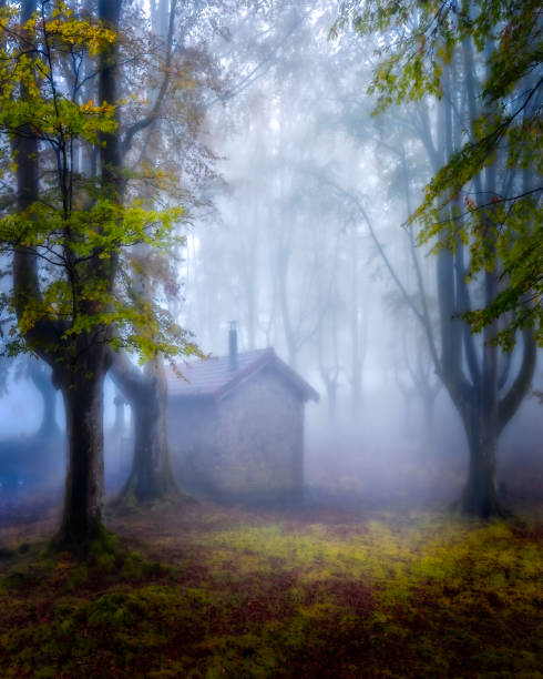 istock small shelter in the middle of a cloud forest 1358770785