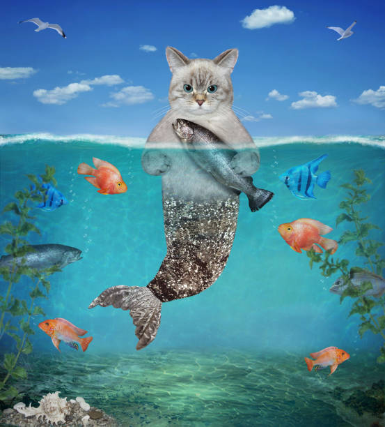 An ashen cat mermaid with a silver fish tail caught a trout in underwater on the seabed.