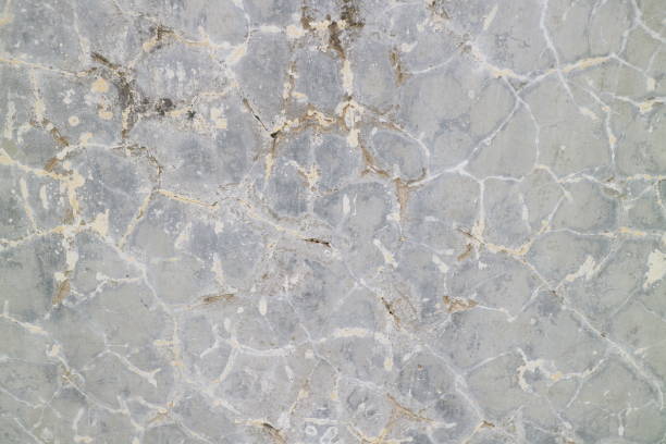 istock Cracked and moldy old walls 1358772604