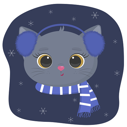 A cute kitten of the British breed is dressed in a hat and a scarf in winter. Against the background of the night sky and snowflakes