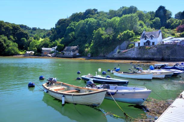 istock The Old Smuggler's House (Thatched) at Dittisham 1358784394