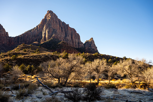 The Watchmen Stand Tall Over Bare Trees In Winter in Zion National Park