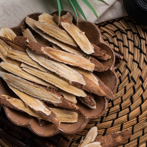 medicina herbal china raíz de astrágalo. - astragalus chinese medicine root plants fotografías e imágenes de stock