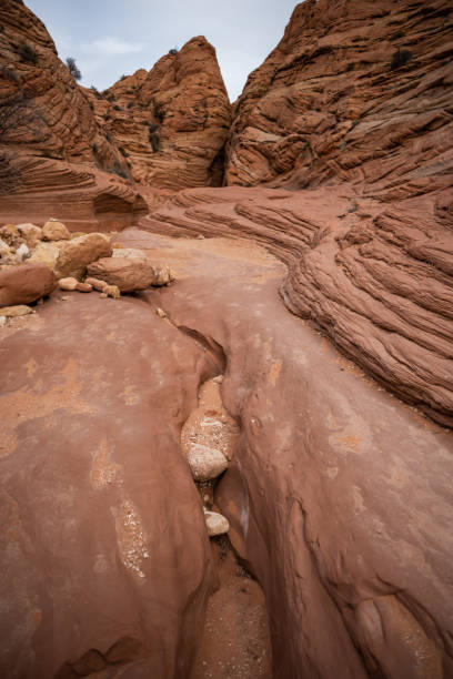 istock Wire Pass Slot Canyon Begins With Smooth Sand Stone Rocks 1358787813