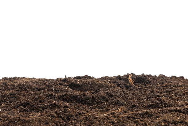 istock Soil for plant isolated on white background. 1358792979