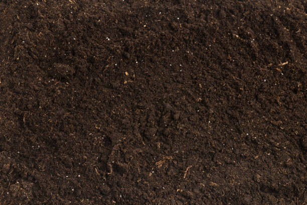 istock Soil for plant isolated on white background. 1358793010