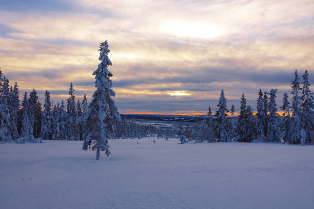 istock Wintersports in Norway 1358796973
