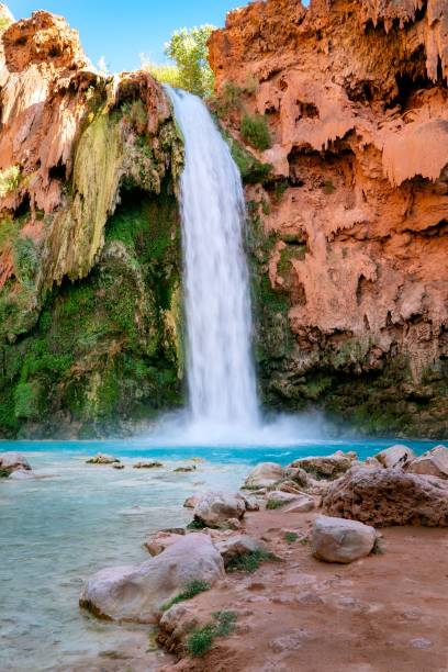 Waterfall in the Havasupai Reservation Waterfall in the Havasupai Reservation havasu falls stock pictures, royalty-free photos & images