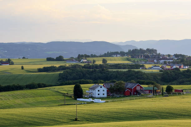 istock Agricultural area Byneset, Trondheim 1358799655