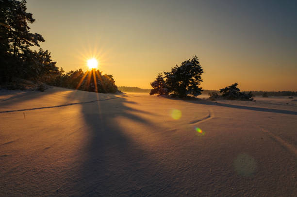istock Snowy winter landscape in a drifting sand dune area 1358800247