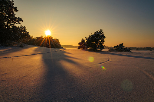 Snow winter landscape in the Hulshorsterzand drifting sand dune area in the Veluwe nature reserve in Gelderland, The Netherlands during a cold winter sunset.