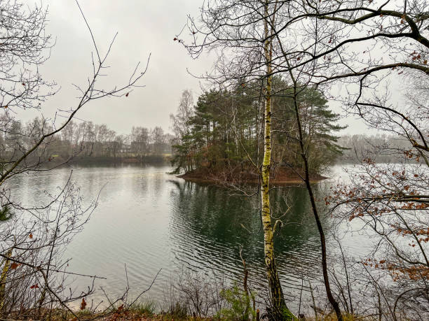 istock A lake in winter in rainy weather. 1358802406