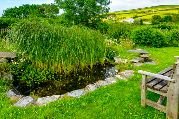 istock Cornish coast with a wildlife pond in the foreground. 1358806533