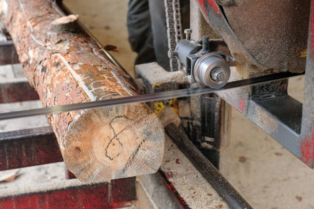 istock Industrial sawing of logs using sawmill equipment. 1358806850