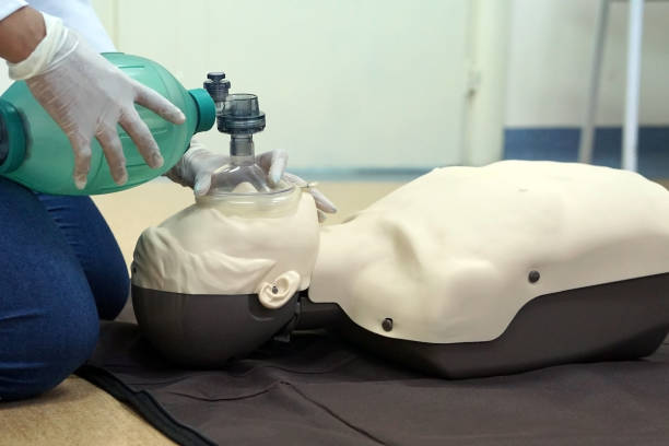 Bls Simulation Roles 210+ Bls Stock Photos, Pictures & Royalty-Free Images - iStock