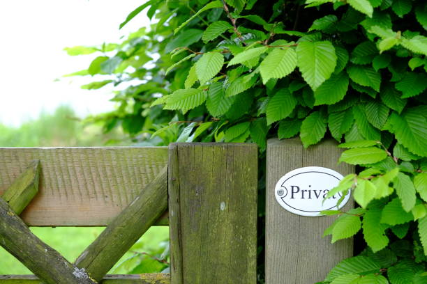 istock Garden door | Garden gate 1358808371