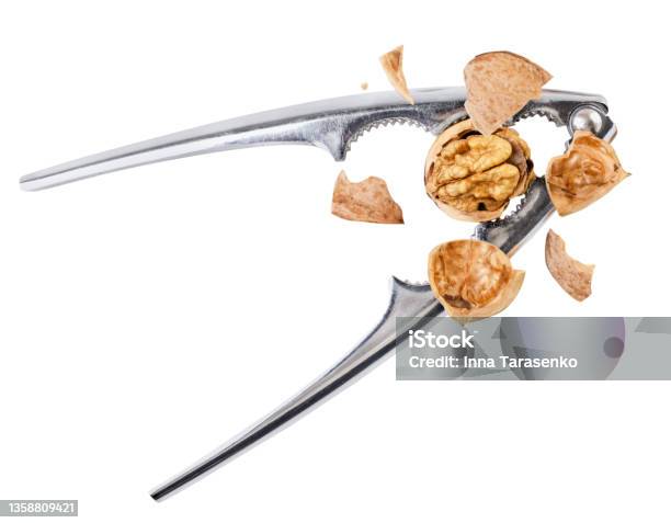 Walnut Chopped With Nutcracker Drops On A White Background Cut Out Isolated Stock Photo - Download Image Now