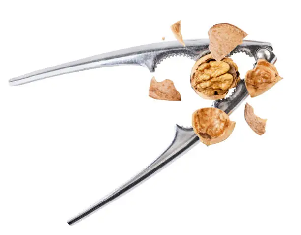 Walnut chopped with nutcracker drops close-up on a white background, cut out. Isolated