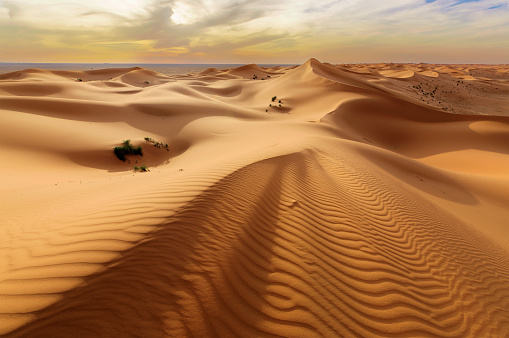 The beauty of the golden sands in Saudi Arabia