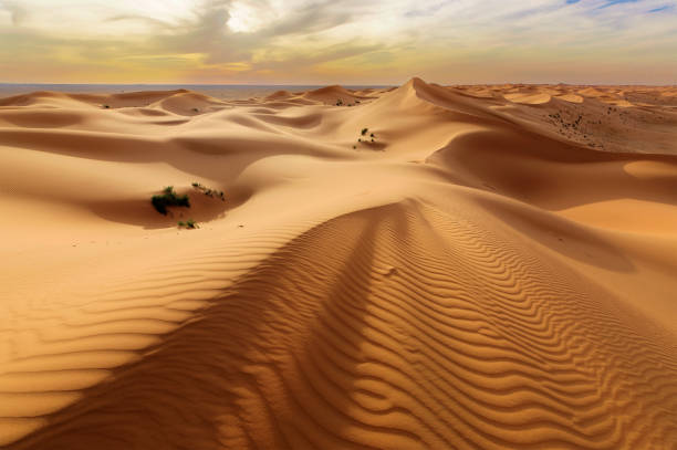 golden sands The beauty of the golden sands in Saudi Arabia gulf countries stock pictures, royalty-free photos & images