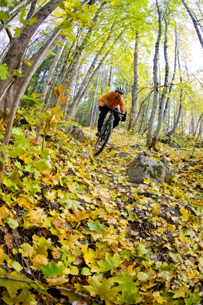 istock October Gravel Bicycle Ride 1358816396