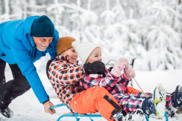 istock Grandfather and tree kids having good time during sledding 1358817913