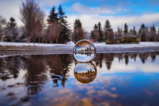 A low angle view of reflections in a crystal ball in a park puddle.