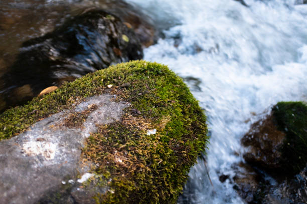 istock Natural water stream in Peruvian Andes. 1358820896