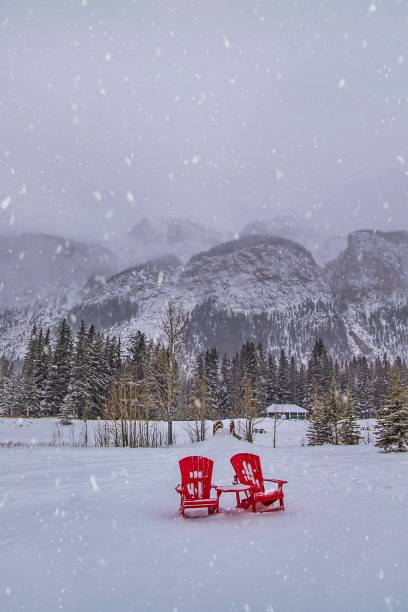 istock Snow Day In A Banff National Park 1358821368