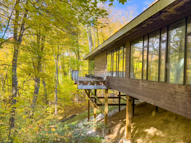 istock Autumn forest pathway at Kortright Centre Conservation, Woodbridge, Vaughan, Canada 1358824989