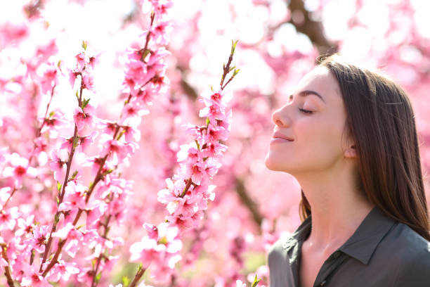 istock Woman smelling scented flowers in a field 1358826876