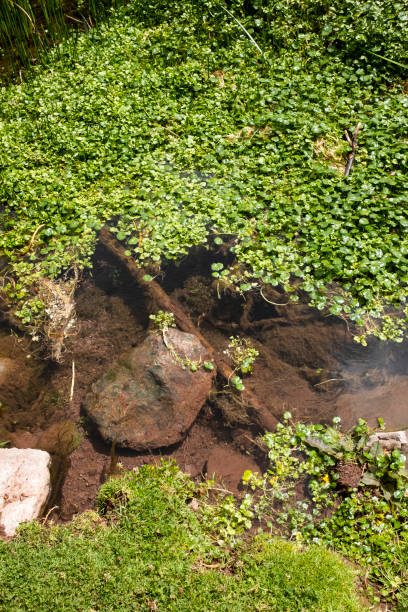 istock Natural water stream in Peruvian Andes. 1358827549