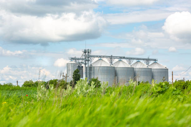 istock Silos on a beautiful day with puffy clouds and fresh green grass 1358828066
