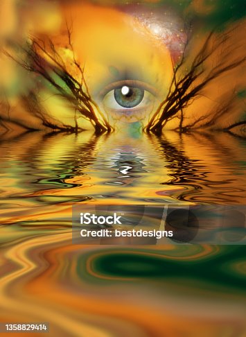istock Eye and branches of tree 1358829414