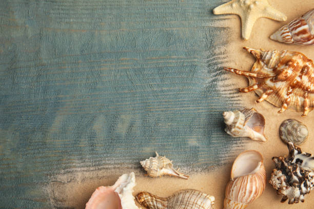 istock Different sea shells and sand on light blue wooden table, flat lay. Space for text 1358831777