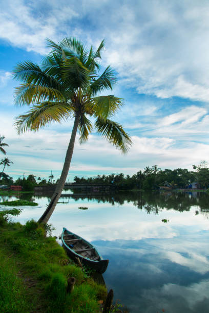 istock A wooden boat under a coconut tree - Riverside photography 1358834215
