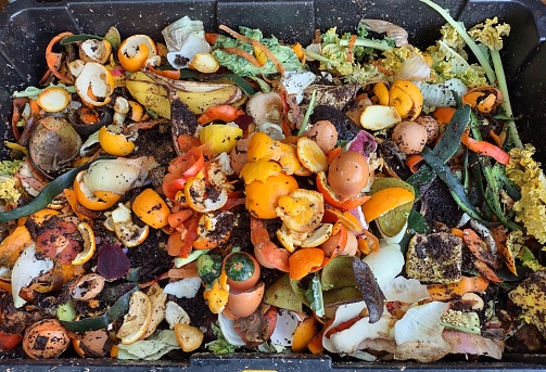 Image of composting bin full of food scraps such as egg shells, orange peels, banana peels; a compost bin with layers of organic matter and soil. Environmentally friendly lifestyle.