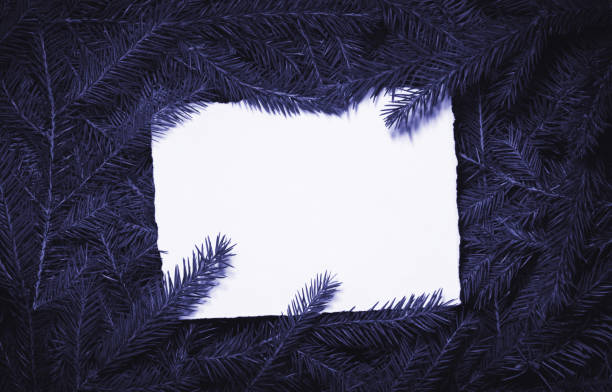 istock Creative composition with purple spruce branches and a white card. Christmas background in retro style. New Year and Christmas card. Nature new year concept. Copy space. 1358836596