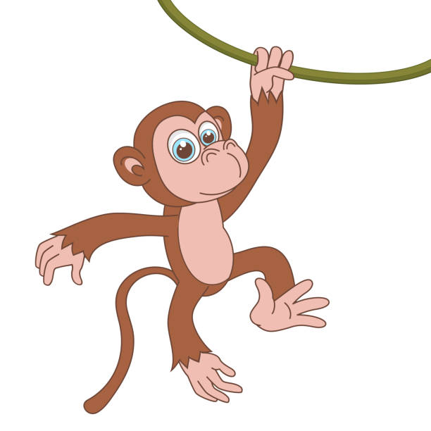 Monkey hanging on liana. Cartoon character Chimpanzee isolated on white background. Template of cute african animal. Education card for kids learning animals. Vector design in cartoon style. Monkey hanging on liana. Cartoon character Chimpanzee isolated on white background. Template of cute african animal. Education card for kids learning animals. Vector design in cartoon style liana stock illustrations