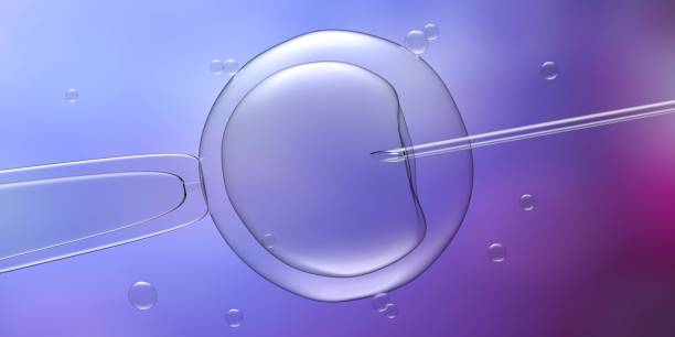 inseminação artificial, fertilização in vitro in vitro. ovum e agulha na cor azul. ilustração 3d - human fertility artificial insemination embryo human egg - fotografias e filmes do acervo