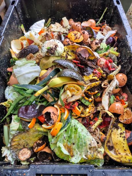 istock Compost bin with layers of organic matter and soil. Environmentally friendly and sustainable lifestyle. 1358838020