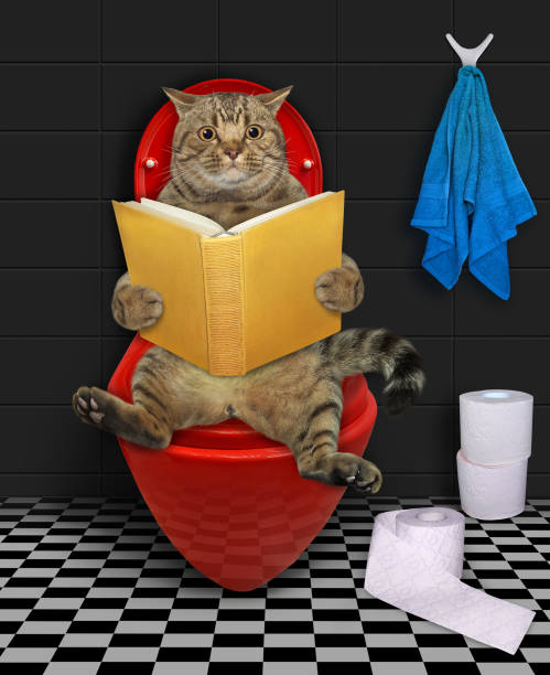 istock Cat with book on red toilet bowl 1358838051