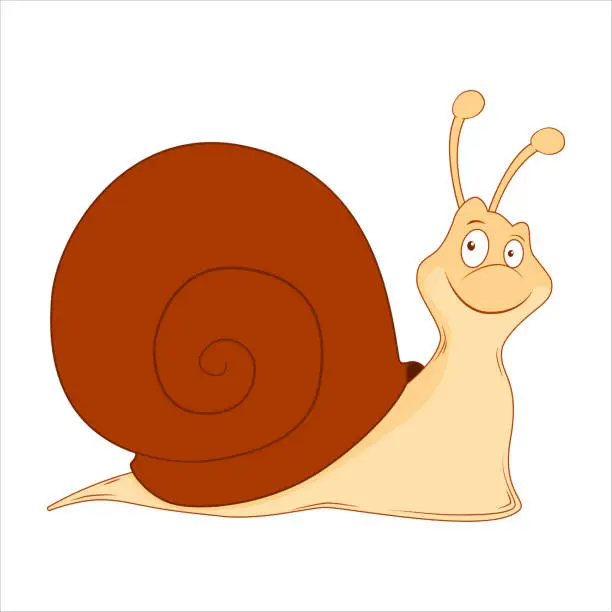 Vector illustration of Snail. Cartoon character Slug isolated on white background. Shellfish. Template of cute wild fauna. Education card for kids learning animals. Suitable for decoration or design. Vector in cartoon style