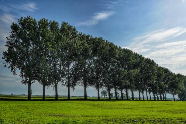 istock Rural landscape in Schleswig-Holstein, Germany 1358838267