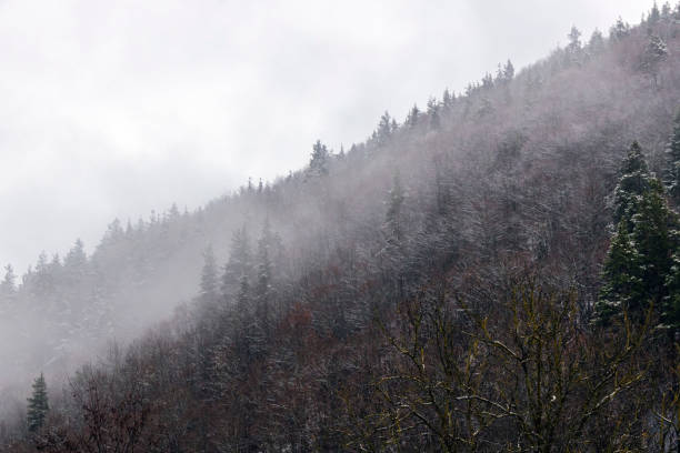 istock Fog and snow in the mountains 1358838986
